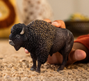 BISONTE