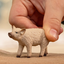 CERDITO LANUDO