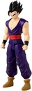 LIMIT BREAKER-GOHAN