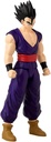 LIMIT BREAKER-GOHAN
