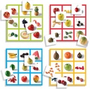 LOTO FOTO FRUTAS