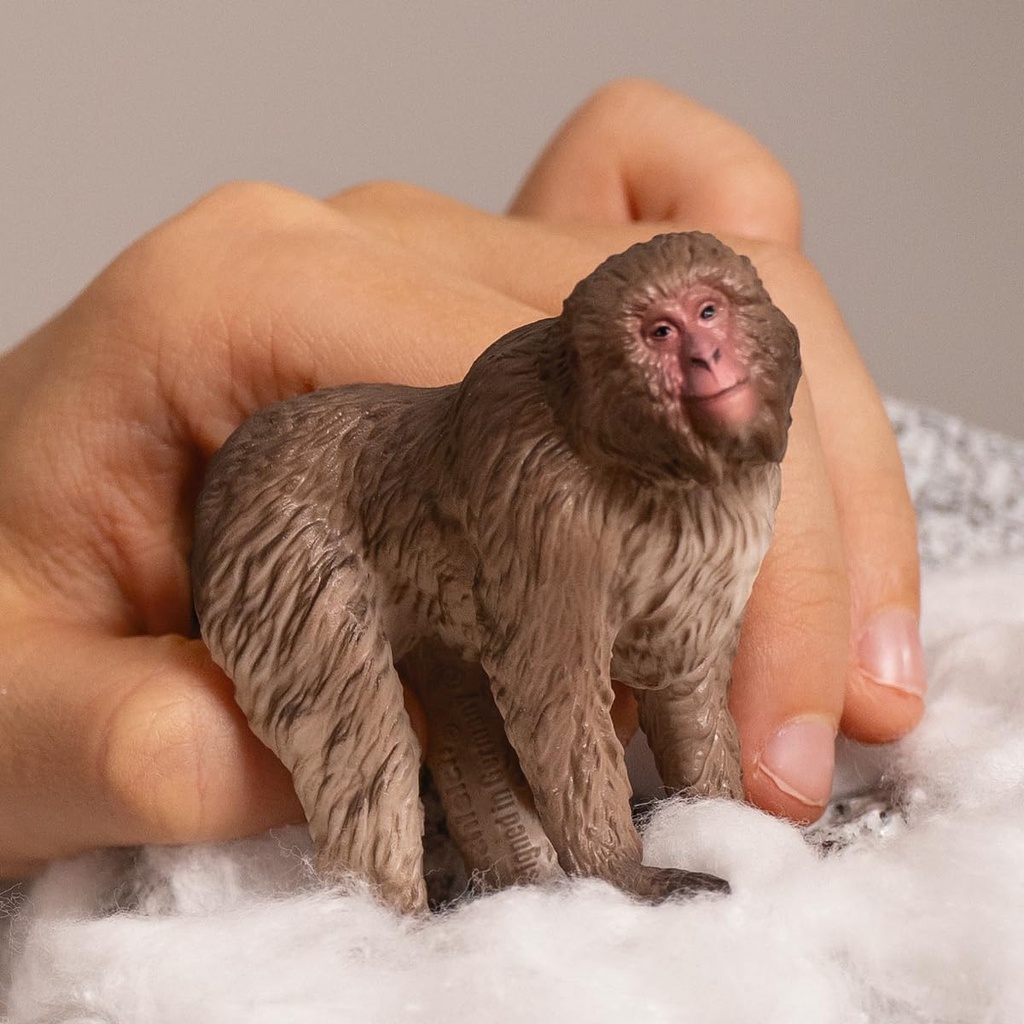MACACO JAPONES