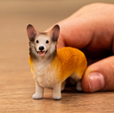 CORGI GALES