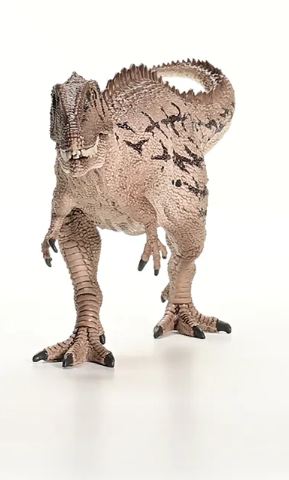 CARCHARODONTOSAURUS