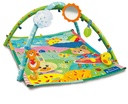 MI PRIMER GIMNASIO
