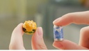MINI WORLD CAPRICHOS