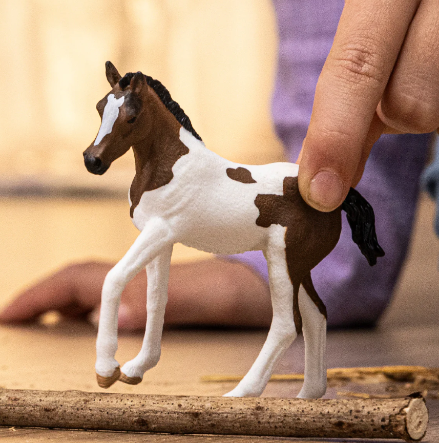 POTRO PAINT HORSE