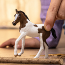POTRO PAINT HORSE