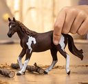 YEGUA PAINT HORSE