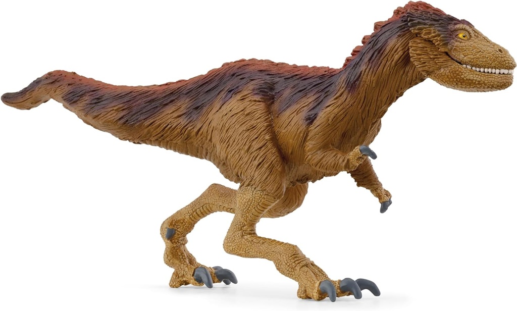MOROS INTREPIDUS