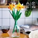 NARCISOS