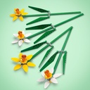 NARCISOS