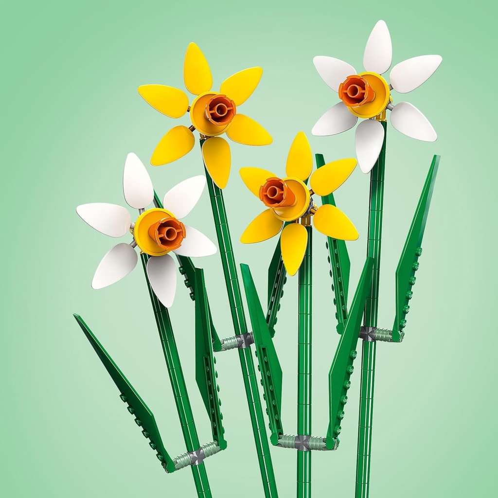 NARCISOS