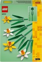 NARCISOS