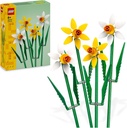 NARCISOS