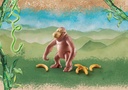 ORANGUTAN