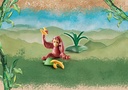ORANGUTAN JOVEN