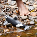 ORCA