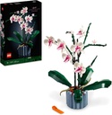 ORQUIDEAS