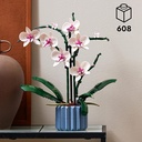 ORQUIDEAS