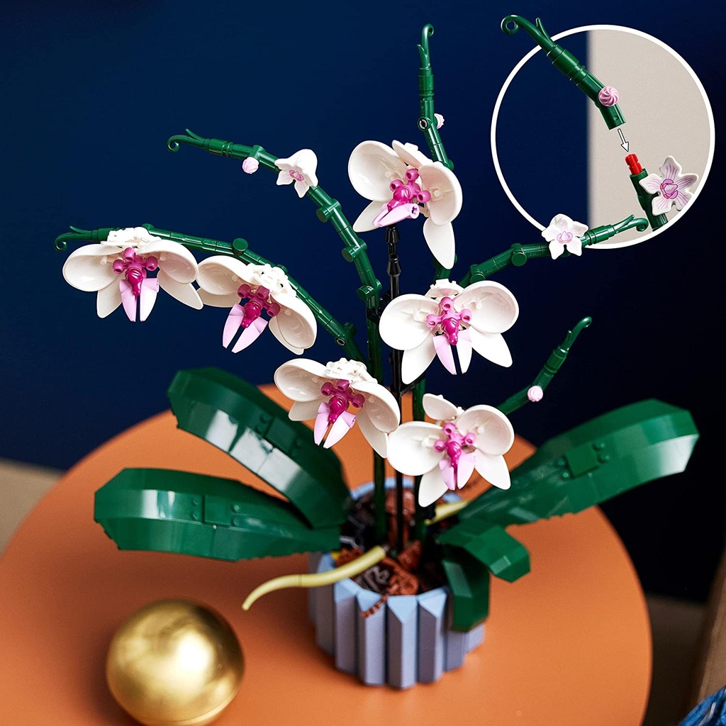 ORQUIDEAS