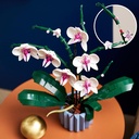 ORQUIDEAS