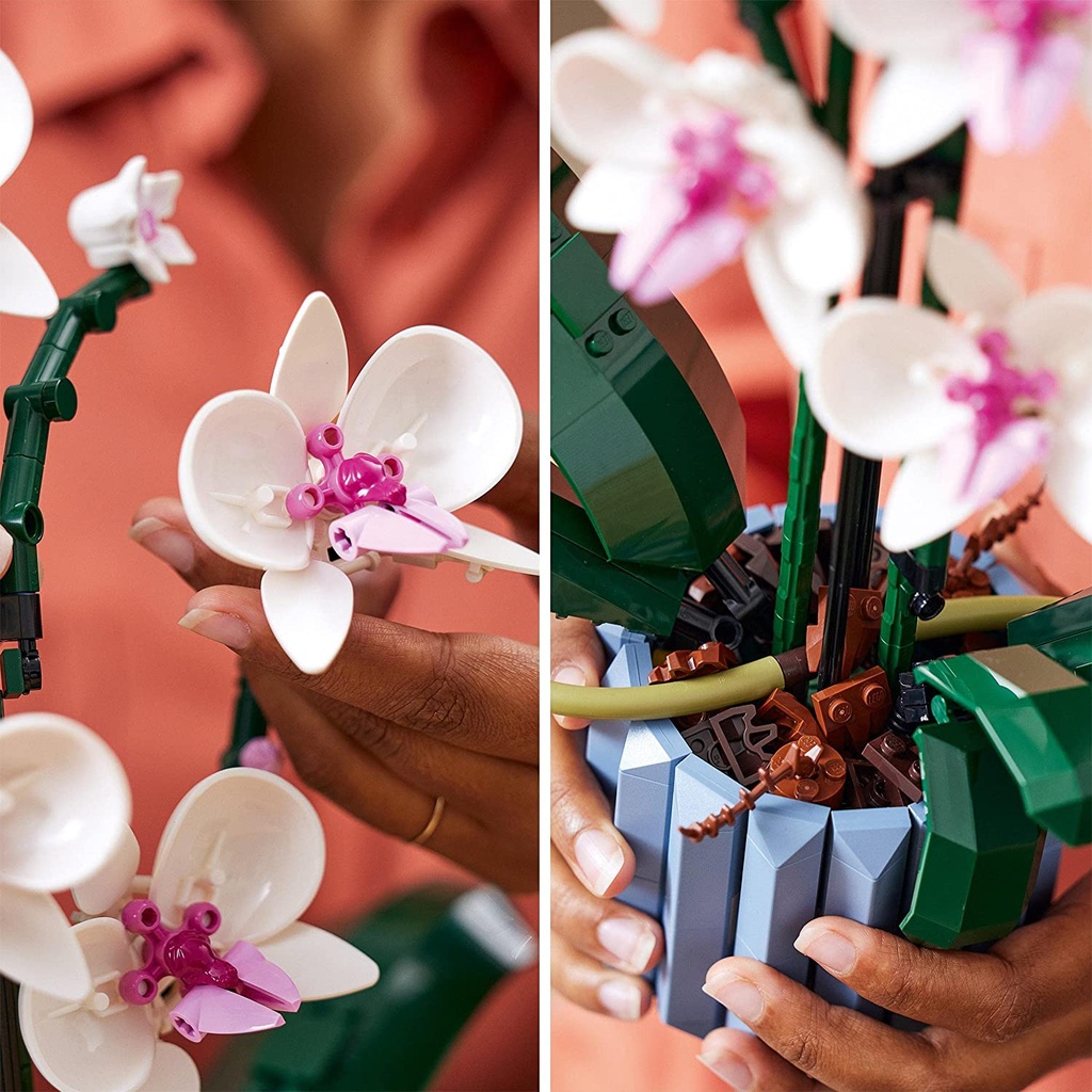 ORQUIDEAS