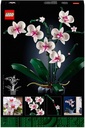ORQUIDEAS