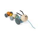 ORUGA PARA PASEAR SWEET COCOON