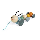 ORUGA PARA PASEAR SWEET COCOON