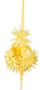 PALMA BLANCA 3