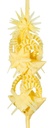 PALMA BLANCA 4