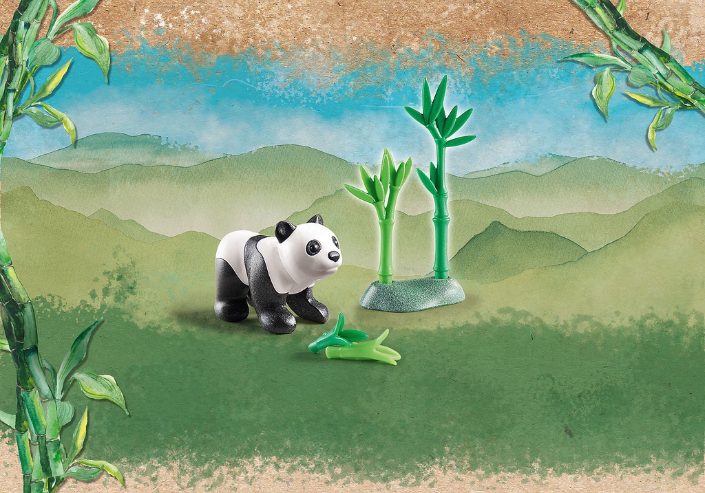 PANDA JOVEN