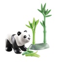 PANDA JOVEN