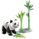 PANDA JOVEN