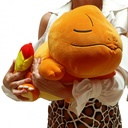 PELUCHE CHARMANDER DORMILON