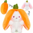 PELUCHE CONEJO 30 CM. 2 SURT.
