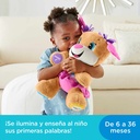 PERRITA PRIMEROS DESCUBRIM.