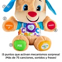 PERRITO PRIMEROS DESCUBRIM.