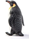 PINGUINO EMPERADOR