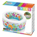PISCINA ACUARIO 152x56