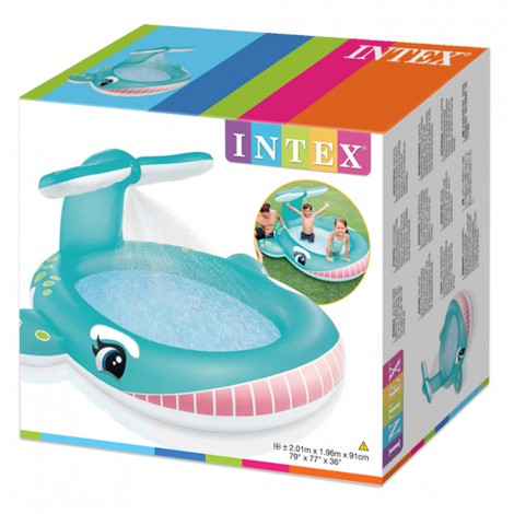 PISCINA BALLENA SPRAY 201x196