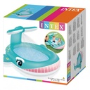 PISCINA BALLENA SPRAY 201x196