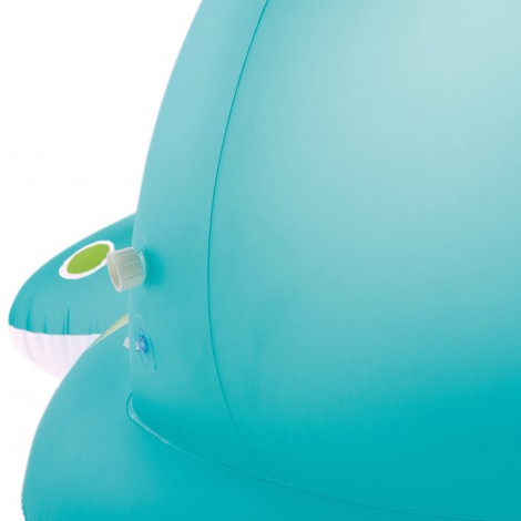 PISCINA BALLENA SPRAY 201x196