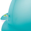 PISCINA BALLENA SPRAY 201x196