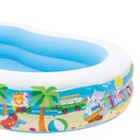 PISCINA PARADISE 262x160x46