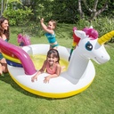 PISCINA UNICORNIO 272x193x104