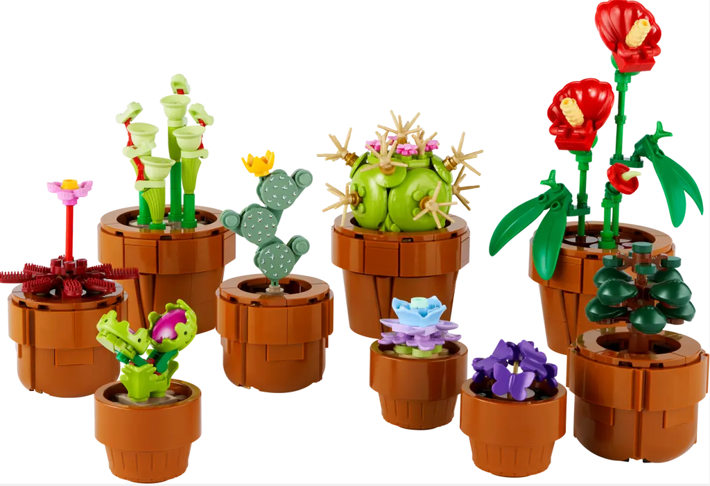 PLANTAS DIMINUTAS