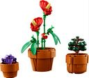 PLANTAS DIMINUTAS