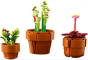 PLANTAS DIMINUTAS